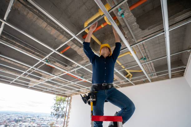 Best Residential Plumbing Services  in Goodrich, MI