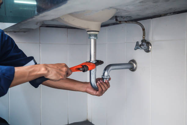Best Sprinkler Systems  in Goodrich, MI