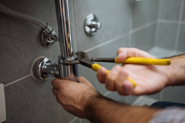 Best Clogged Drain Plumber  in Goodrich, MI