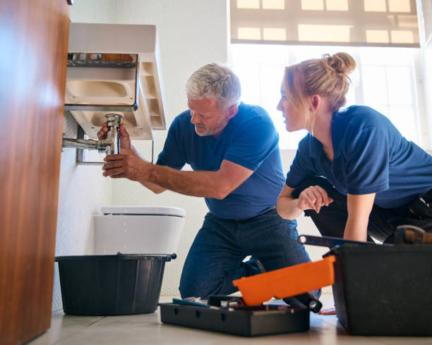 Best Affordable Plumbing Services  in Goodrich, MI